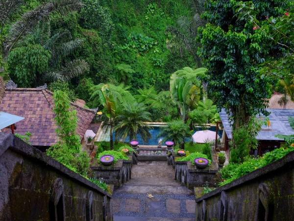 Bagus Jati Health ＆ Wellbeing Retreat
