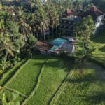 THE ARTNI DIJIWA UBUD