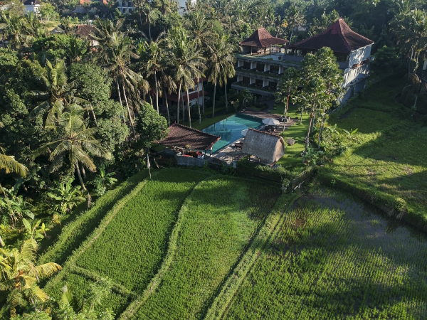 THE ARTNI DIJIWA UBUD