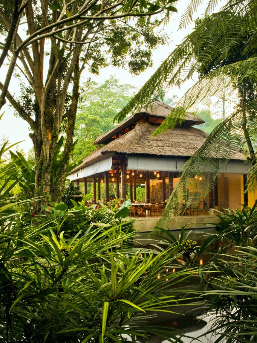 コモウマウブド