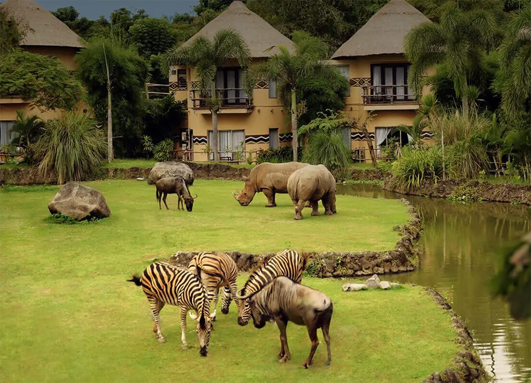 バリ島家族旅行に向いた、動物園の中にあるホテル