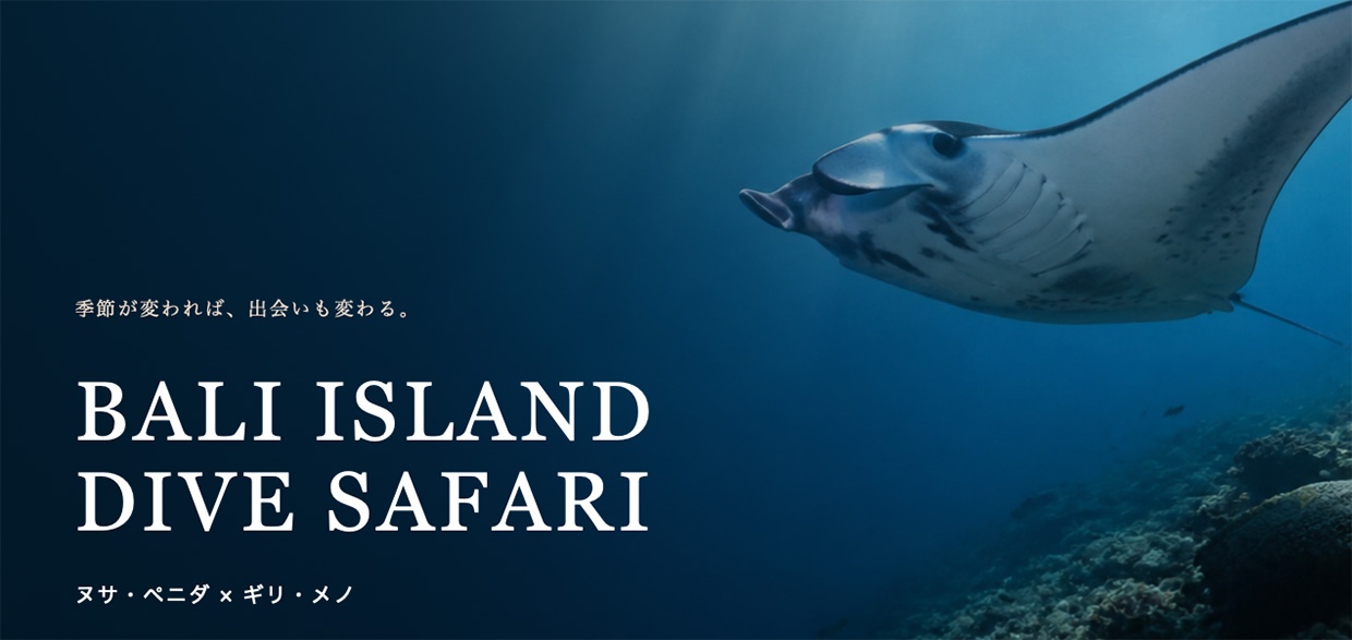 バリ離島ダイブサファリ