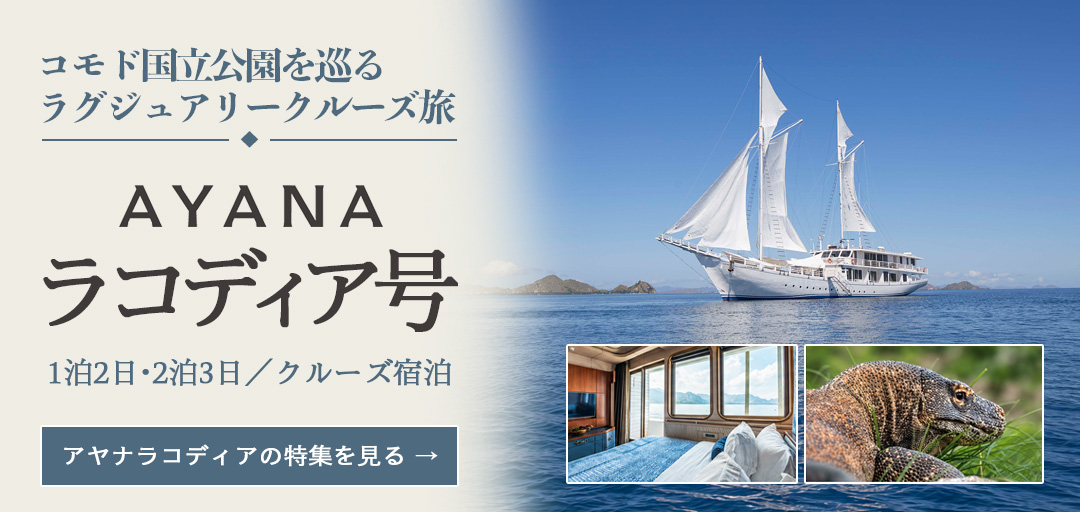 アヤナ ラコディア号でコモドドラゴン観察へ。宿泊クルーズの客室・旅程・出航日程を見る